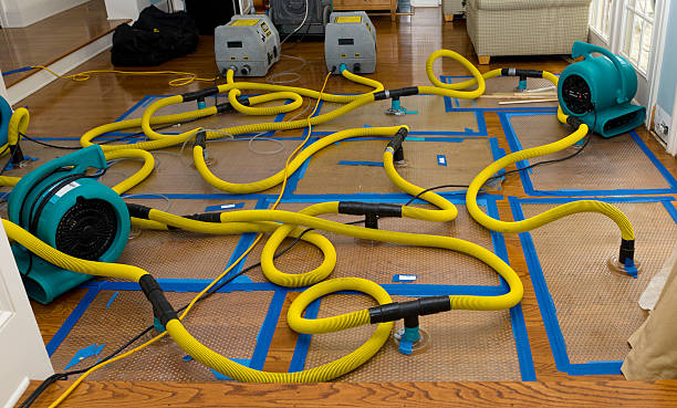 Professional Basement Flood Cleanup technician working in Milton, WA